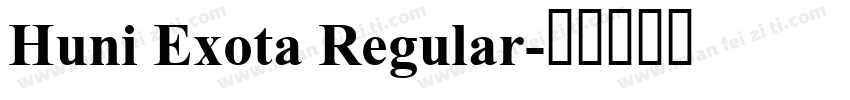 Huni Exota Regular字体转换